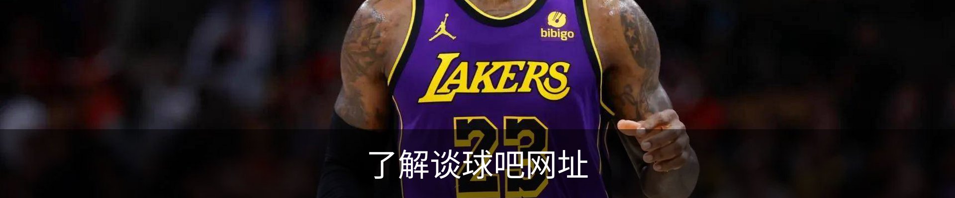 内页banner